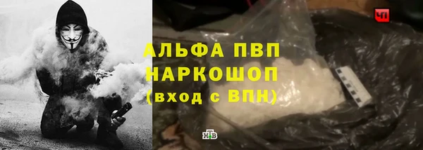 Альфа ПВП Верея