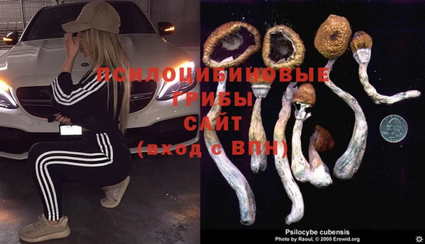 кокаин VHQ Богданович